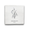 Tegeltje geboortebloem - Januari