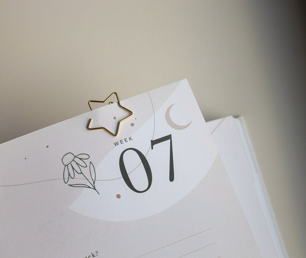 Paperclips ster/maan - 30 stuks - goud