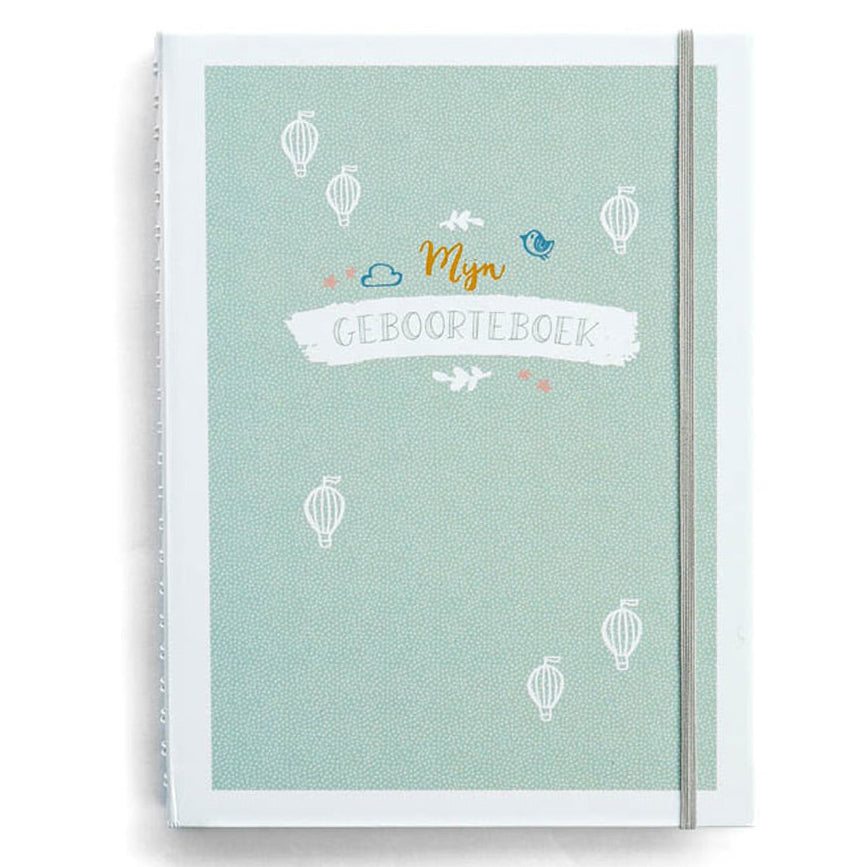 Mijn geboorteboek / kraambezoekboek - mint