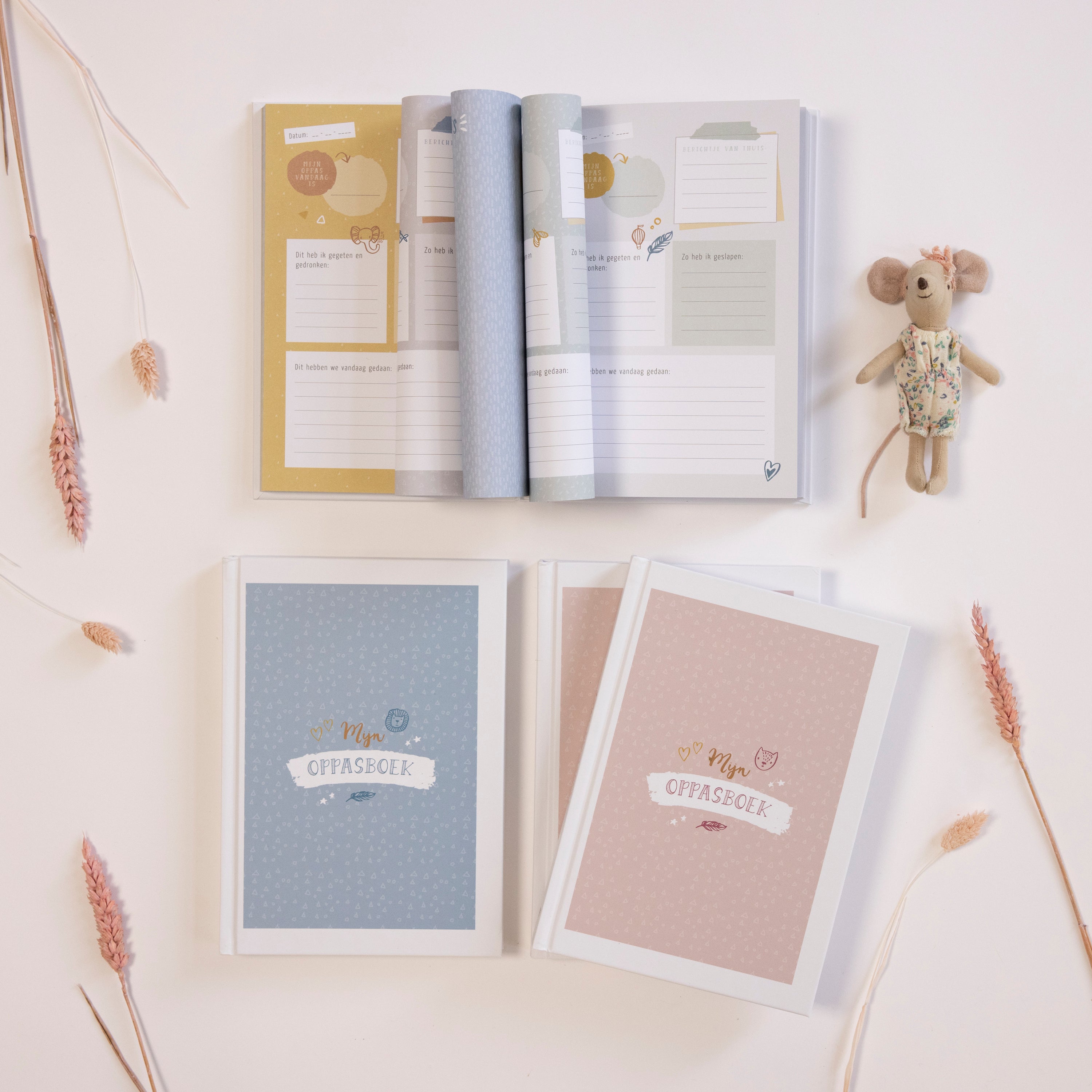 Mijn oppasboek - blauw
