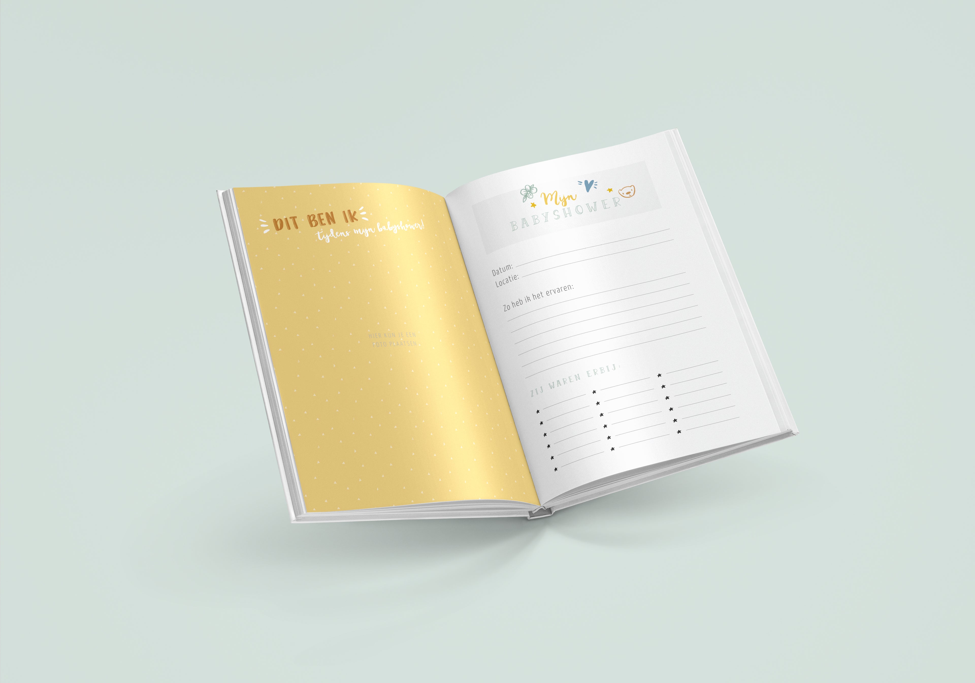 Mijn babyshowerboek (inclusief invulkaarten) - roze