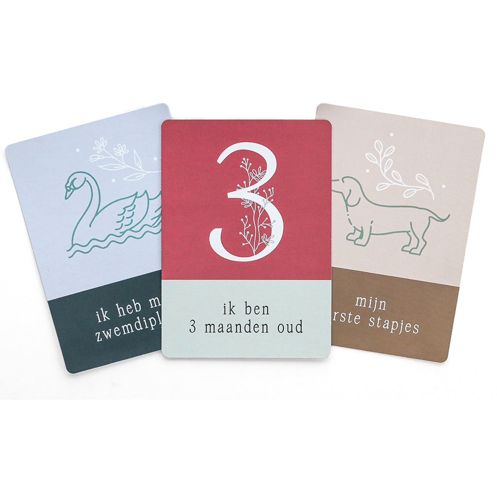 Mijn mijlpalenboek + mijlpaalkaarten - Invulboek voor alle belangrijke momenten van 0 t/m 12 jaar