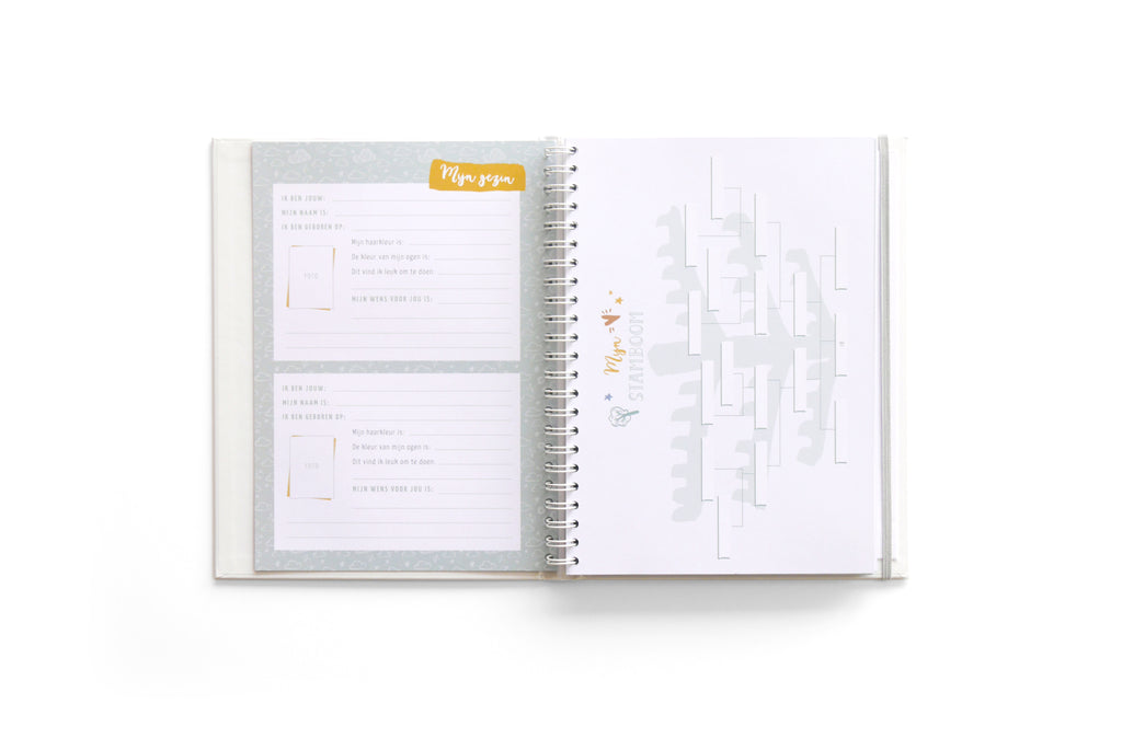 Mijn geboorteboek / kraambezoekboek - mint