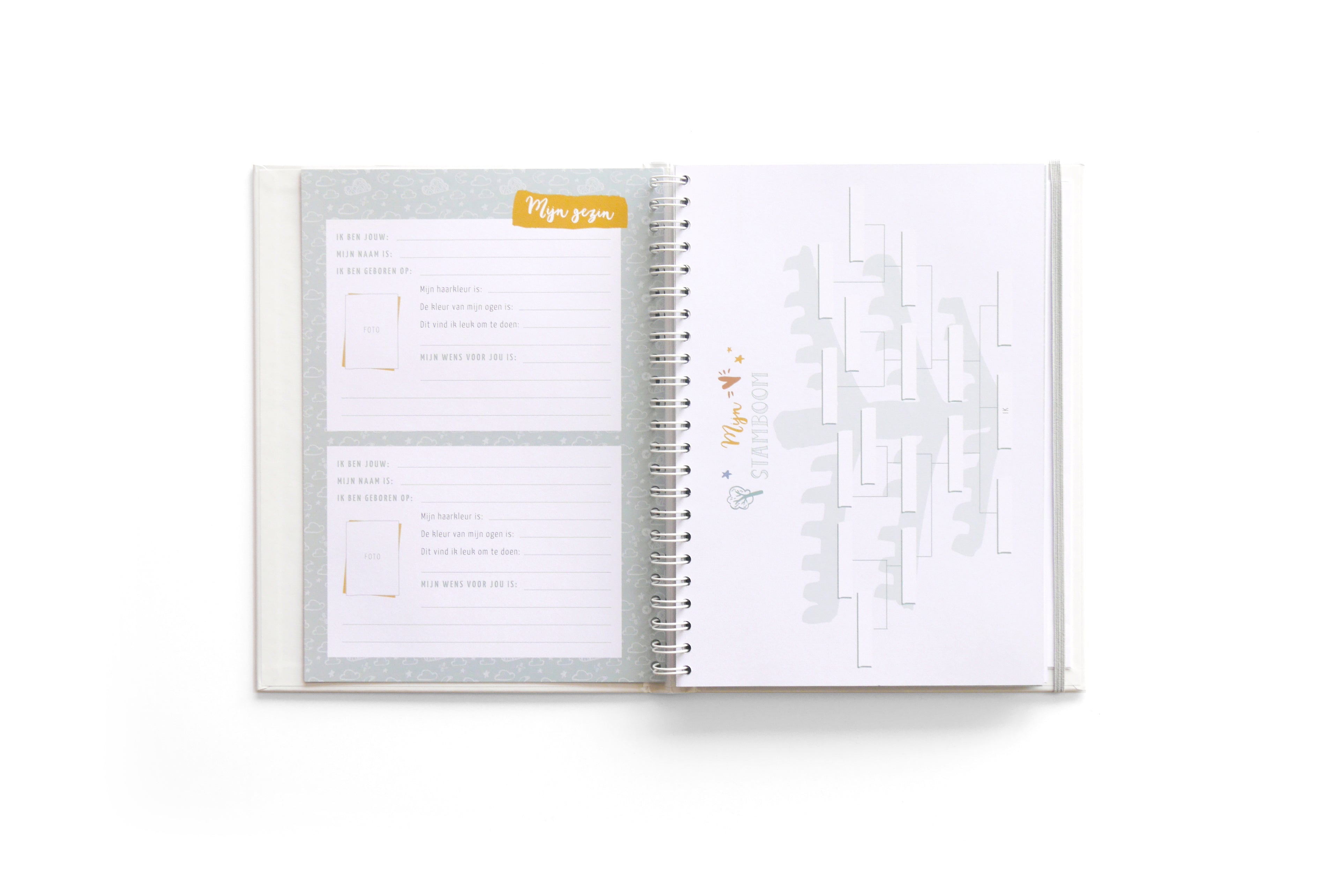 Mijn geboorteboek / kraambezoekboek - mint