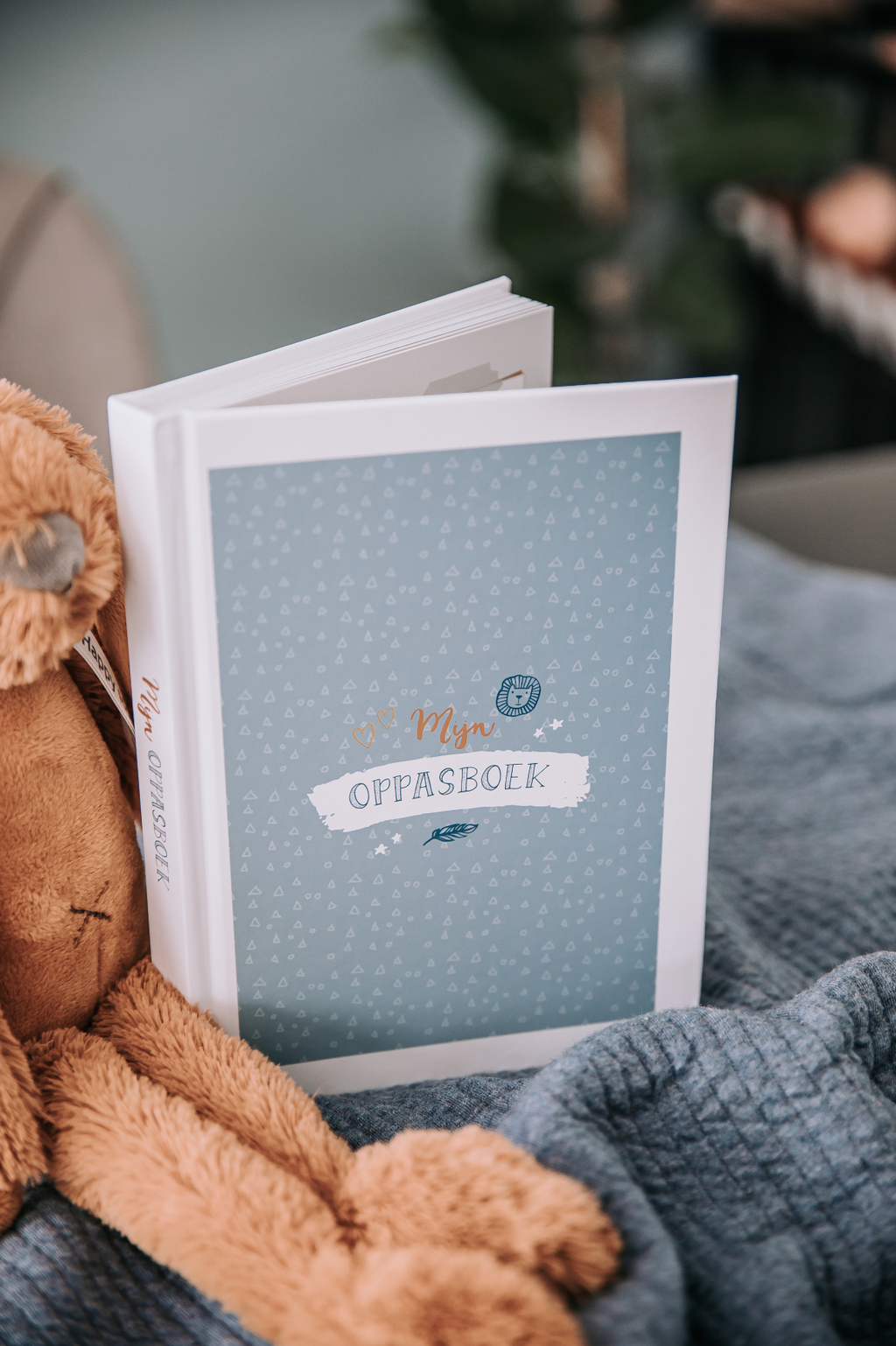 Mijn oppasboek - blauw