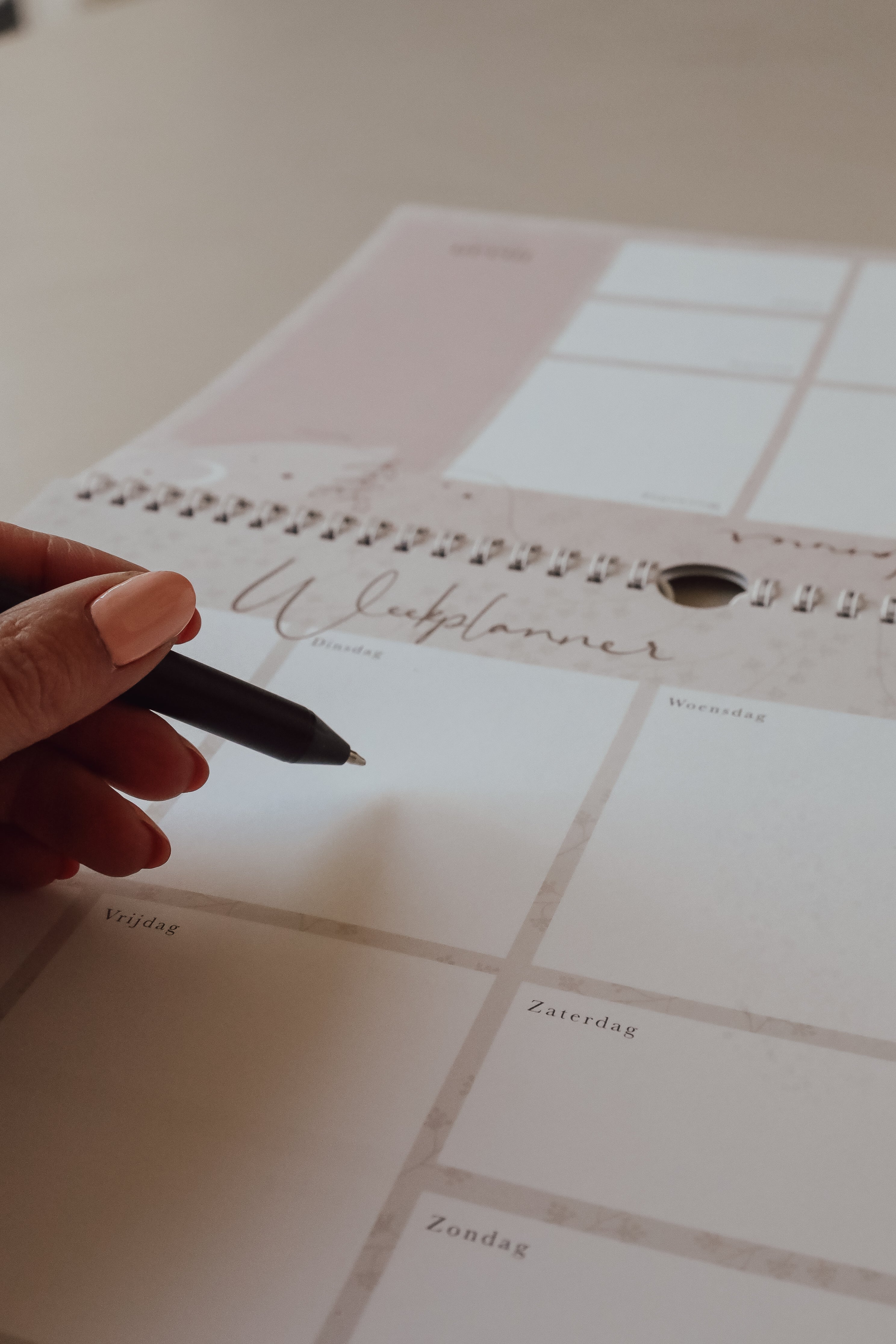 Weekplanner incl. stickervel - Eclipse