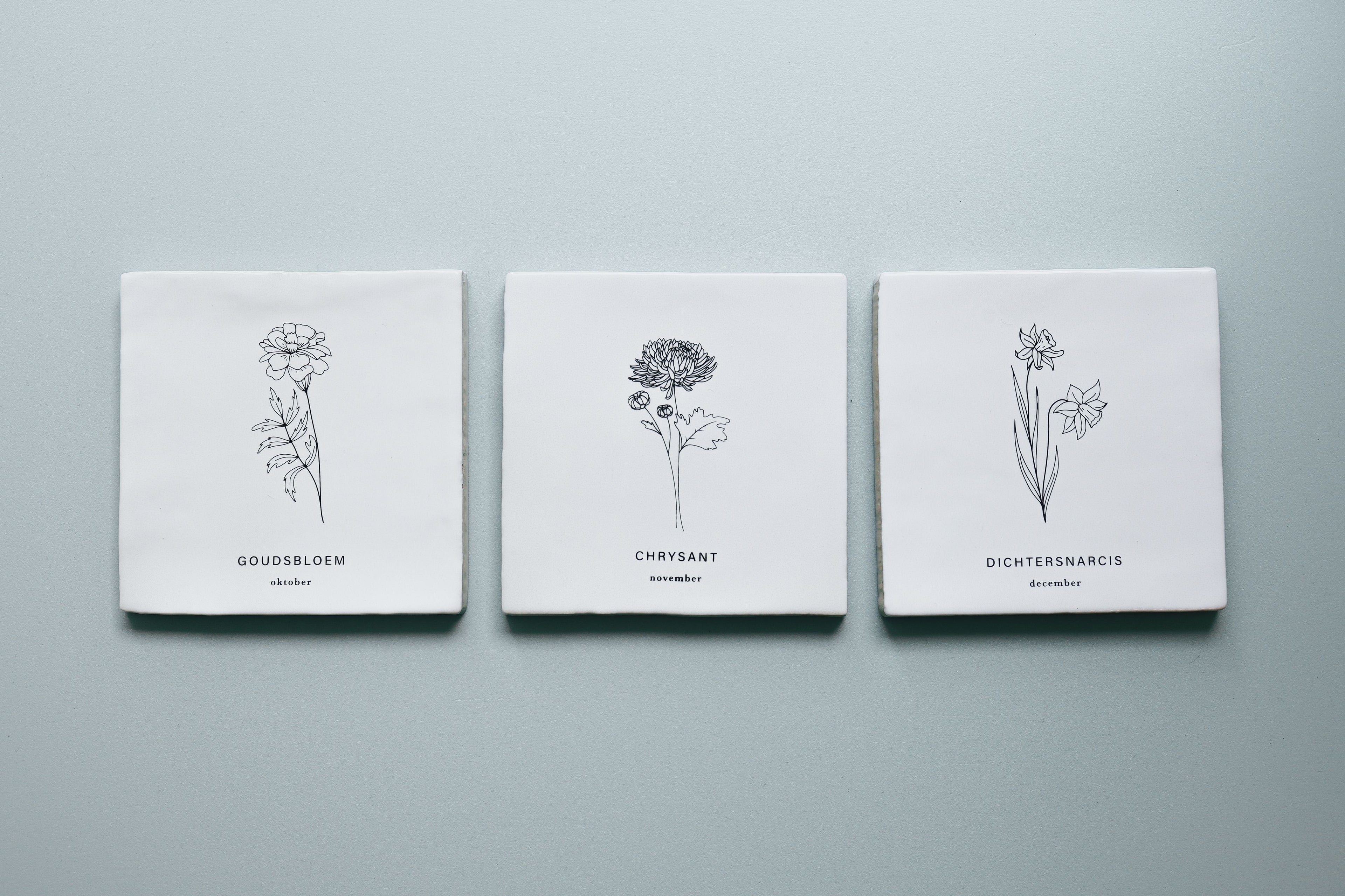 Tegeltje geboortebloem - Juni