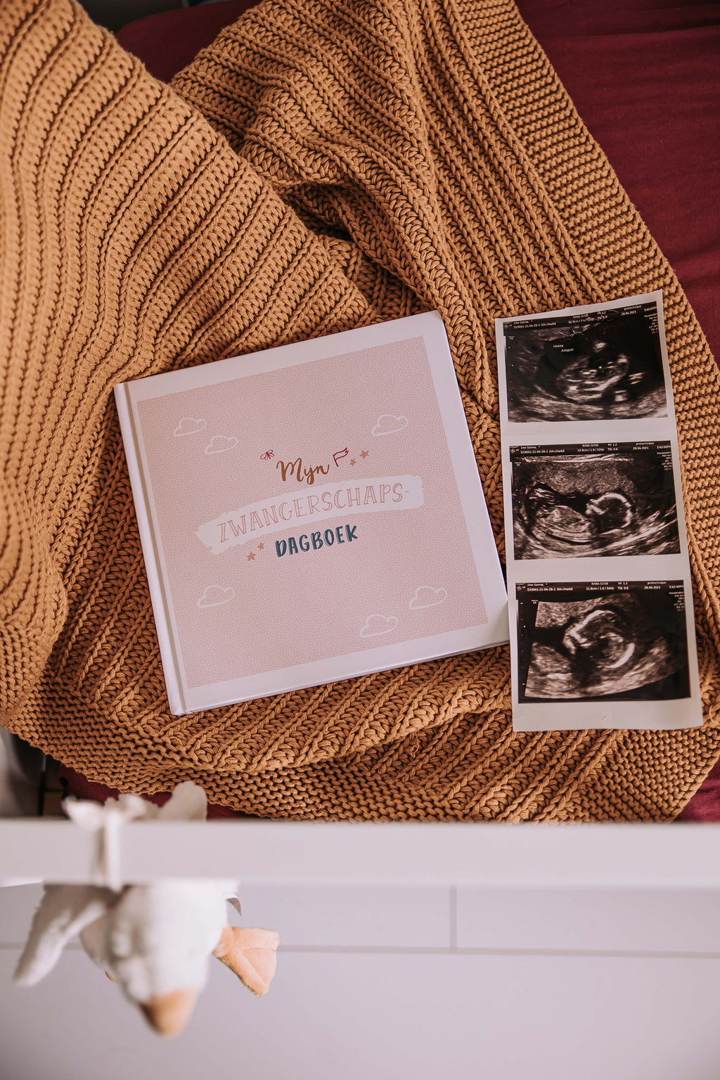 Mijn zwangerschapsdagboek - roze